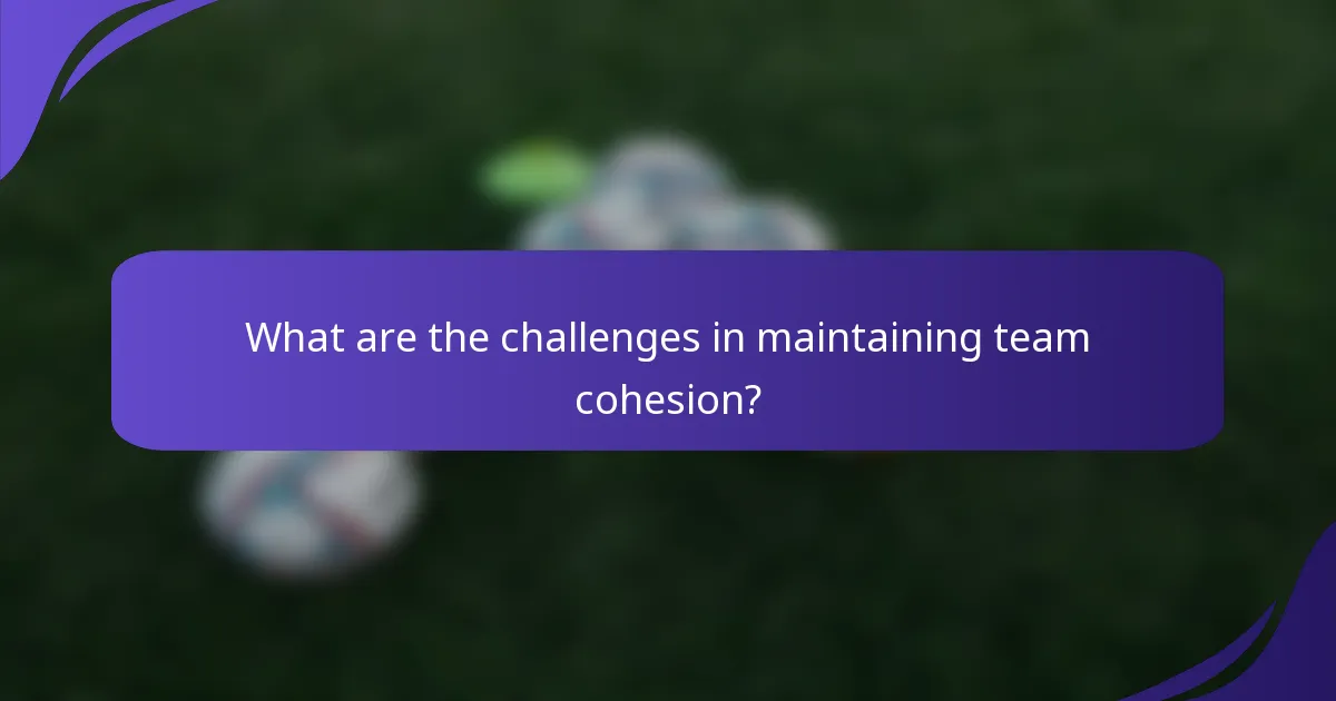What are the challenges in maintaining team cohesion?