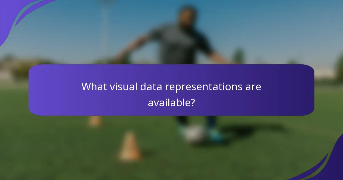 What visual data representations are available?